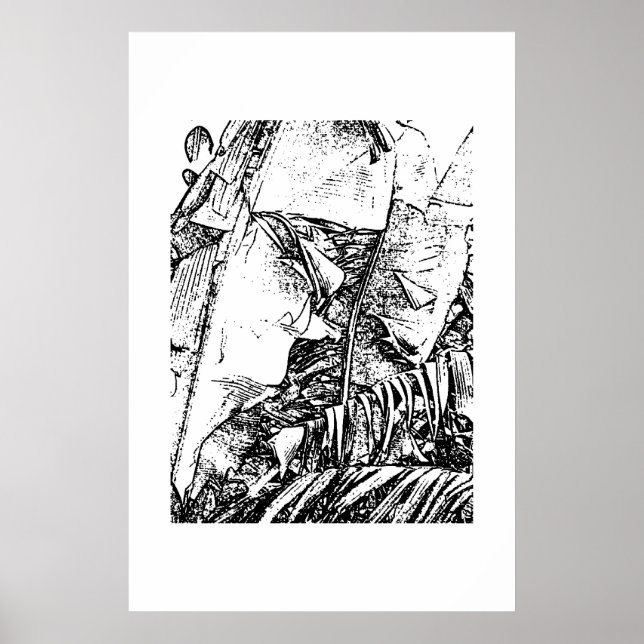 Poster Fronteiras da Banana (Frente)