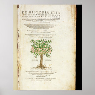 Pôster Frontispício 'de De Historia Stirpium Commentarii