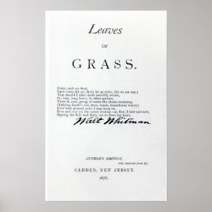 Poster Frontispiece 'às folhas das gramas
