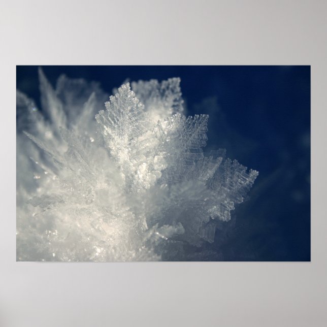 Pôster Frost (Frente)