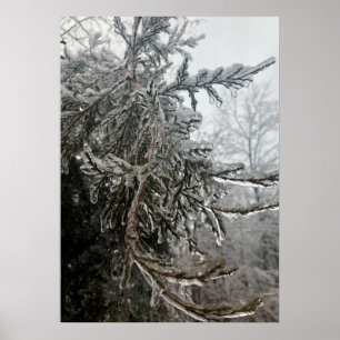 Poster Frost de inverno