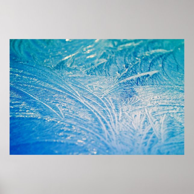 Pôster Frost de inverno (Frente)