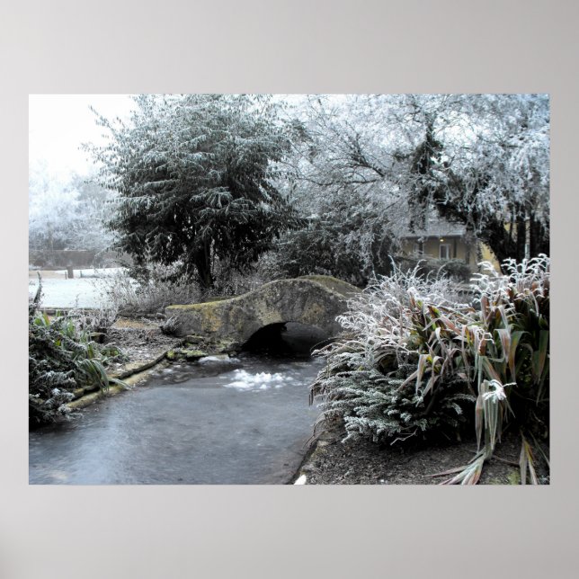 Pôster Frost e gelo num jardim Somerset (Frente)