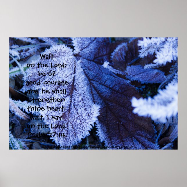 Poster Frost on Leaf Print w/Scripture Verse (Frente)