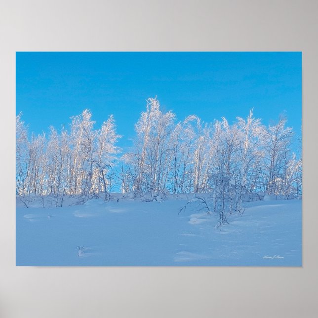 Poster Frosted Trees (Frente)