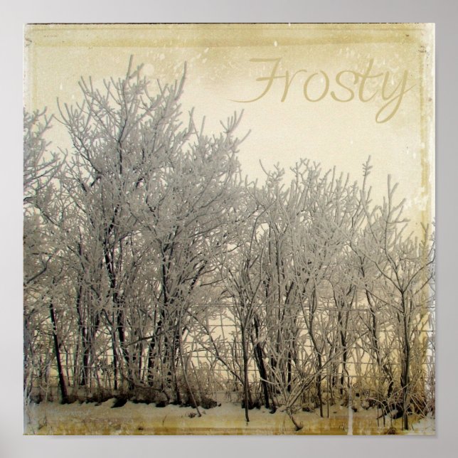 Pôster Frosty (Frente)