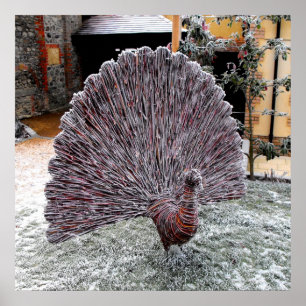 Pôster Frosty wickerwork peacock