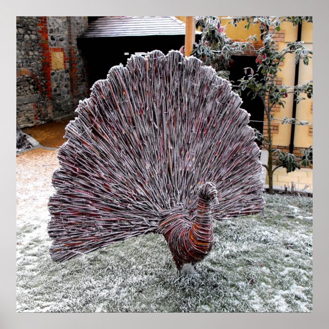 Pôster Frosty wickerwork peacock (Frente)