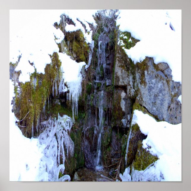 Poster Frozen in time... (Frente)