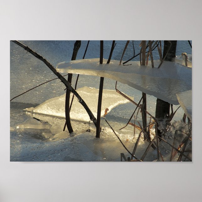 Poster Frozen Marsh Ice Maine Winter Scenery (Frente)