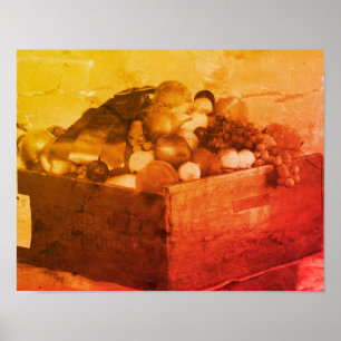 Poster Fruta De Feira Azul Do Condado Em Sepia Vintage