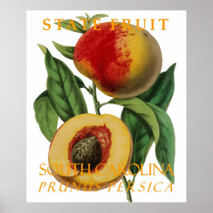 Poster Fruta do Território da Carolina do Sul: O Pêssego