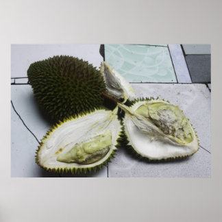 Poster Fruta Duriana famosa