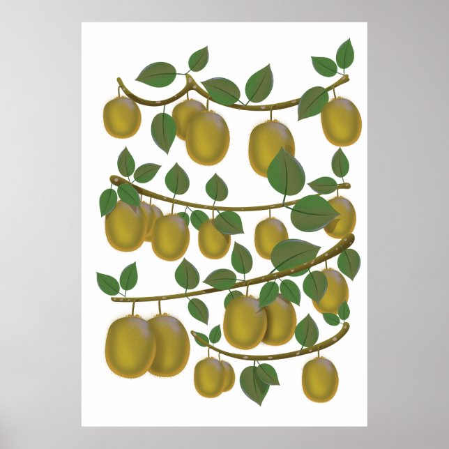 Poster Fruta Kiwi (Frente)