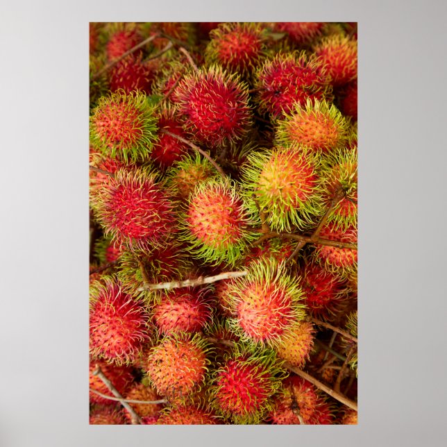 Poster Fruta Rambutan no mercado Can Duoc (Frente)