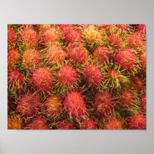 Pôster Fruta tropical do Rambutan