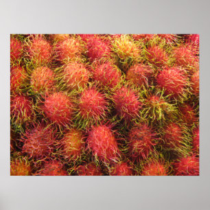 Pôster Fruta tropical do Rambutan