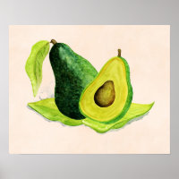 Fruta Verde Avocado para o resto da vida em aquare