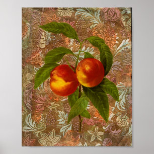 Poster Fruta Vintage