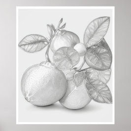 Poster Fruta Wall Art
