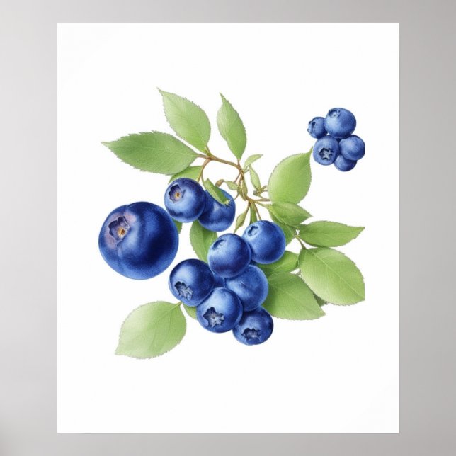 Poster Fruta Wall Art (Frente)