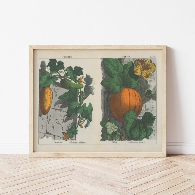 Poster Frutas | Charlotte Mary Yonge (Criador carregado)