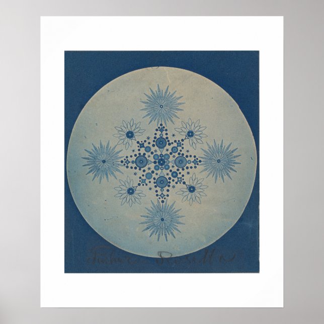 Poster Frutas de diátomos por Julius Wiesner (Frente)