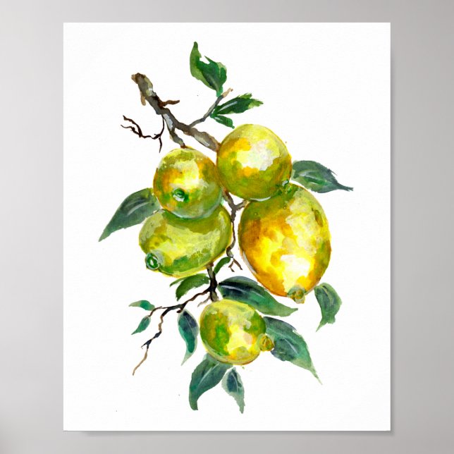Poster Frutas de limão penduradas de um galho de árvore (Frente)