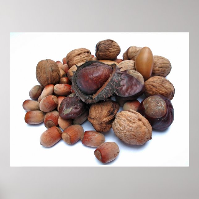 Poster Frutas de outono (Frente)