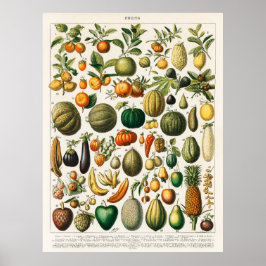 Poster Frutas e produtos hortícolas