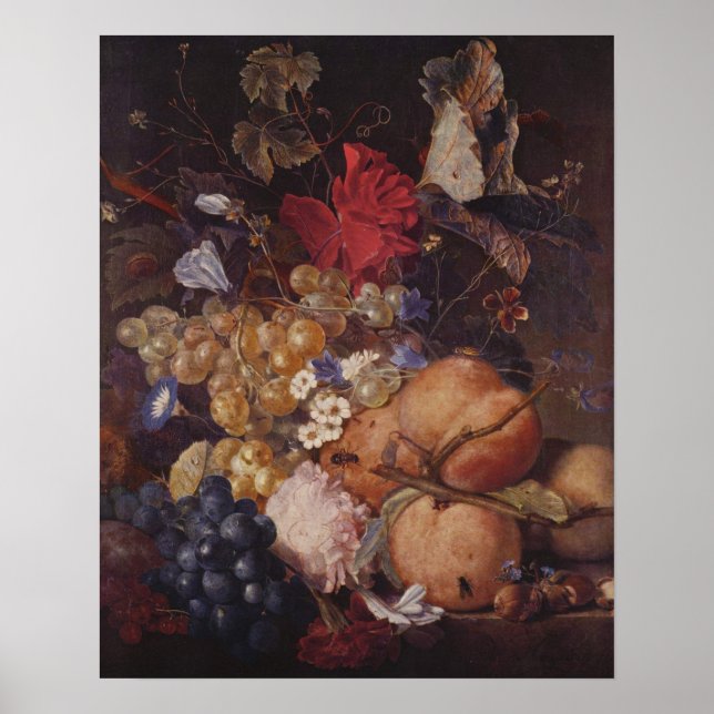Poster Frutas, flores e insetos de Jan van Huysum (Frente)