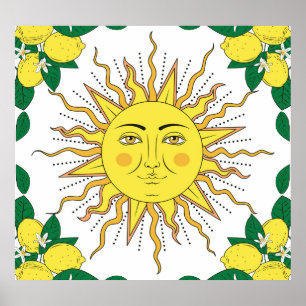 Poster Frutas Tropicais De Limão, Face Solar.