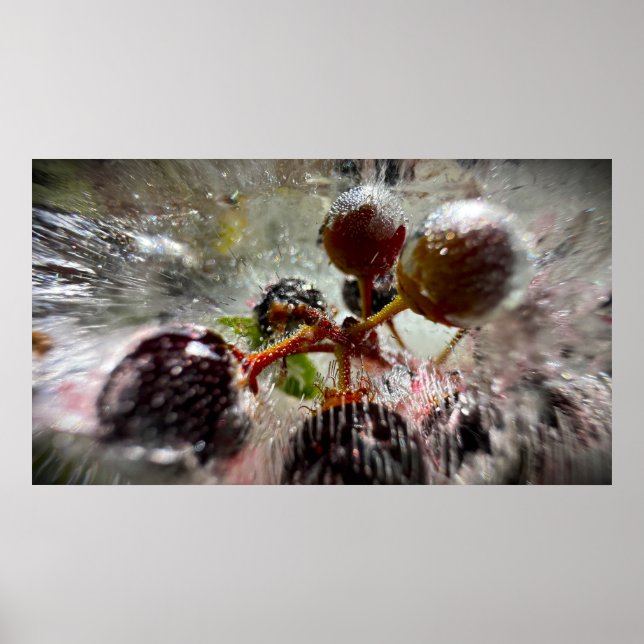 Poster Frutas Vermelhas Congeladas,  (Frente)