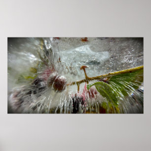 Poster Frutas Vermelhas Congeladas,