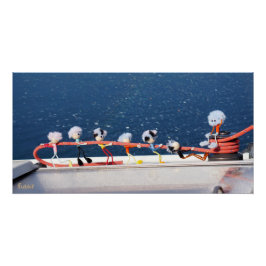 Pôster Fubby's die een lijn lieren van een Zeilboot.