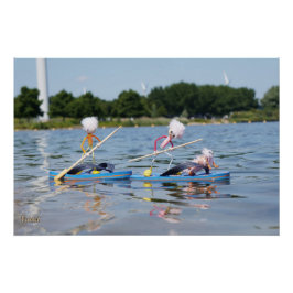 Pôster Fubby's die een wedstrijdje Peddelboard doen.