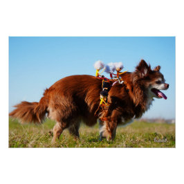 Pôster Fubby's die paardrijden op hun honden vriendje.