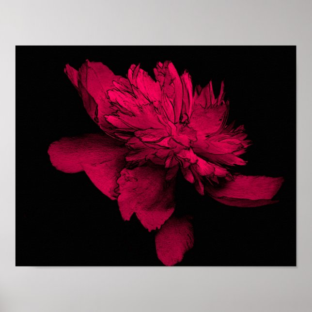 Pôster Fuchsia Peony Flower Abstrato Floral Art (Frente)