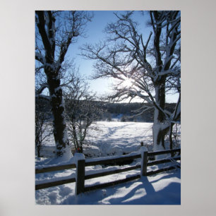 Poster Fuga da neve