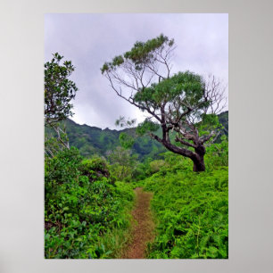 Poster Fuga de caminhada havaiana