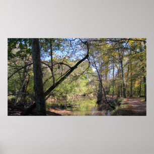 Pôster Fuga do funcionamento de Bull