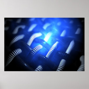 Poster Fulgor