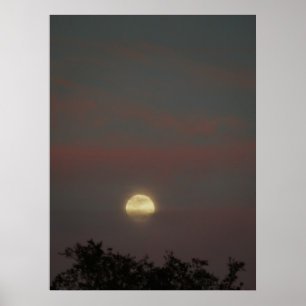 Poster Fulgor da Lua cheia