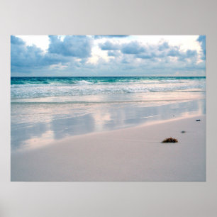 Poster Fulgor do rosa em uma praia do por do sol