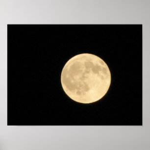 Pôster Full Moon