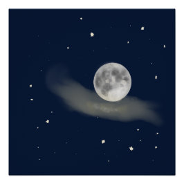 Pôster Full moon night