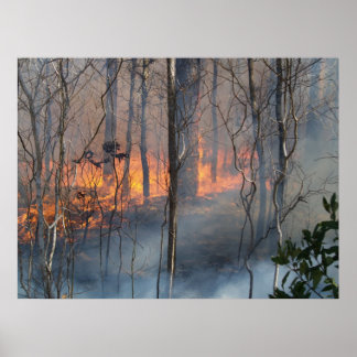 Pôster Fumaça de Queima