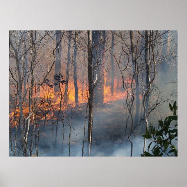 Pôster Fumaça de Queima (Frente)