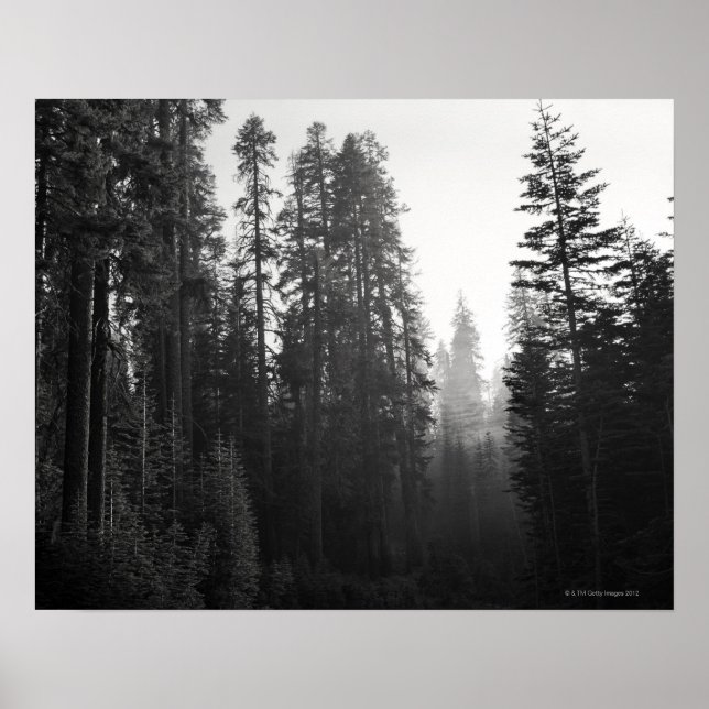 Pôster Fumaça de um incêndio florestal nas proximidades a (Frente)