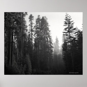 Pôster Fume dos filtros próximos de um incêndio violent